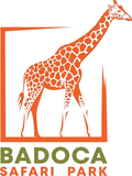 Badoca Safari Park